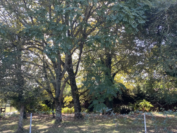 Terrain constructible à Sauternes de 607m2 