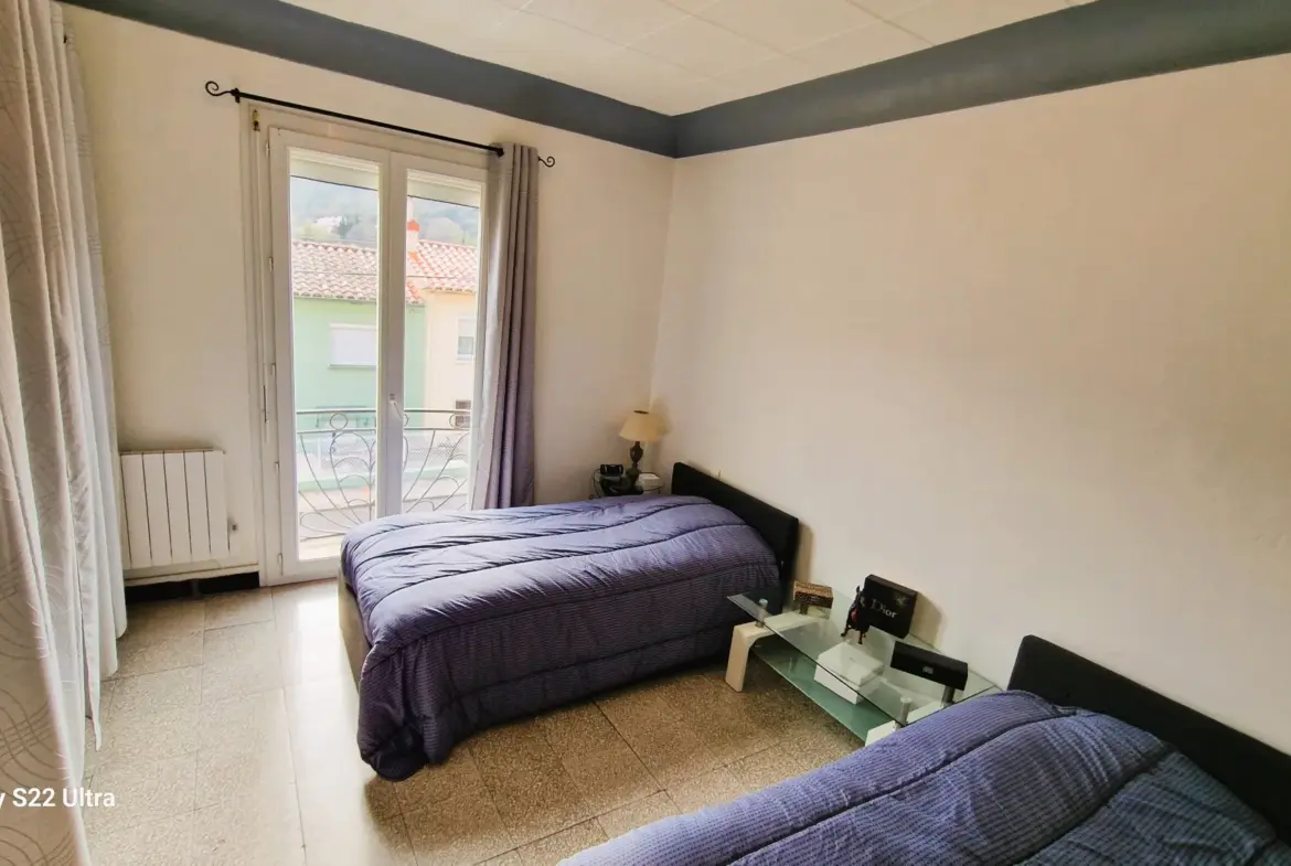 Maison à Arles-sur-Tech avec terrasse, jardin, annexe, garage et vue dominante 