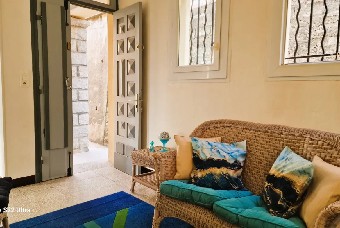 Maison à Arles-sur-Tech avec terrasse, jardin, annexe, garage et vue dominante 