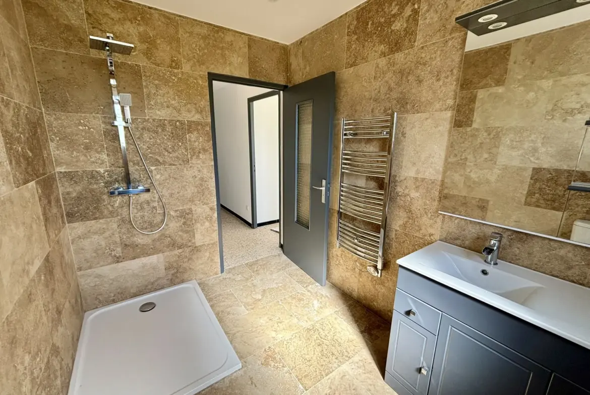 Village House with 2 Apartments and Garden in Nyons 