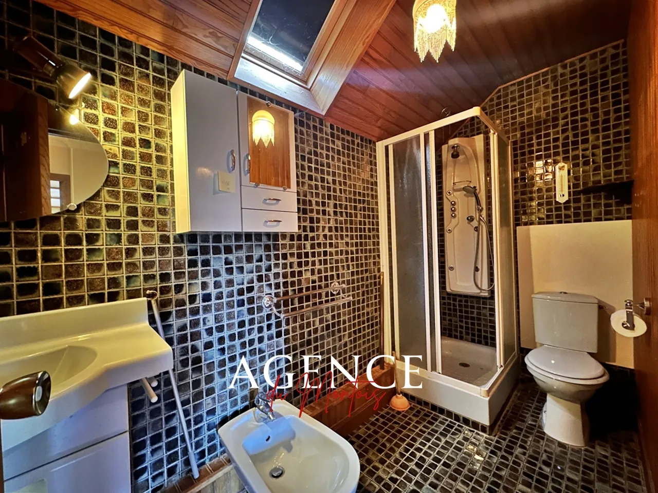 À vendre : Pavillon à Bray sur Seine - 4 chambres, jardin de 901 m² 