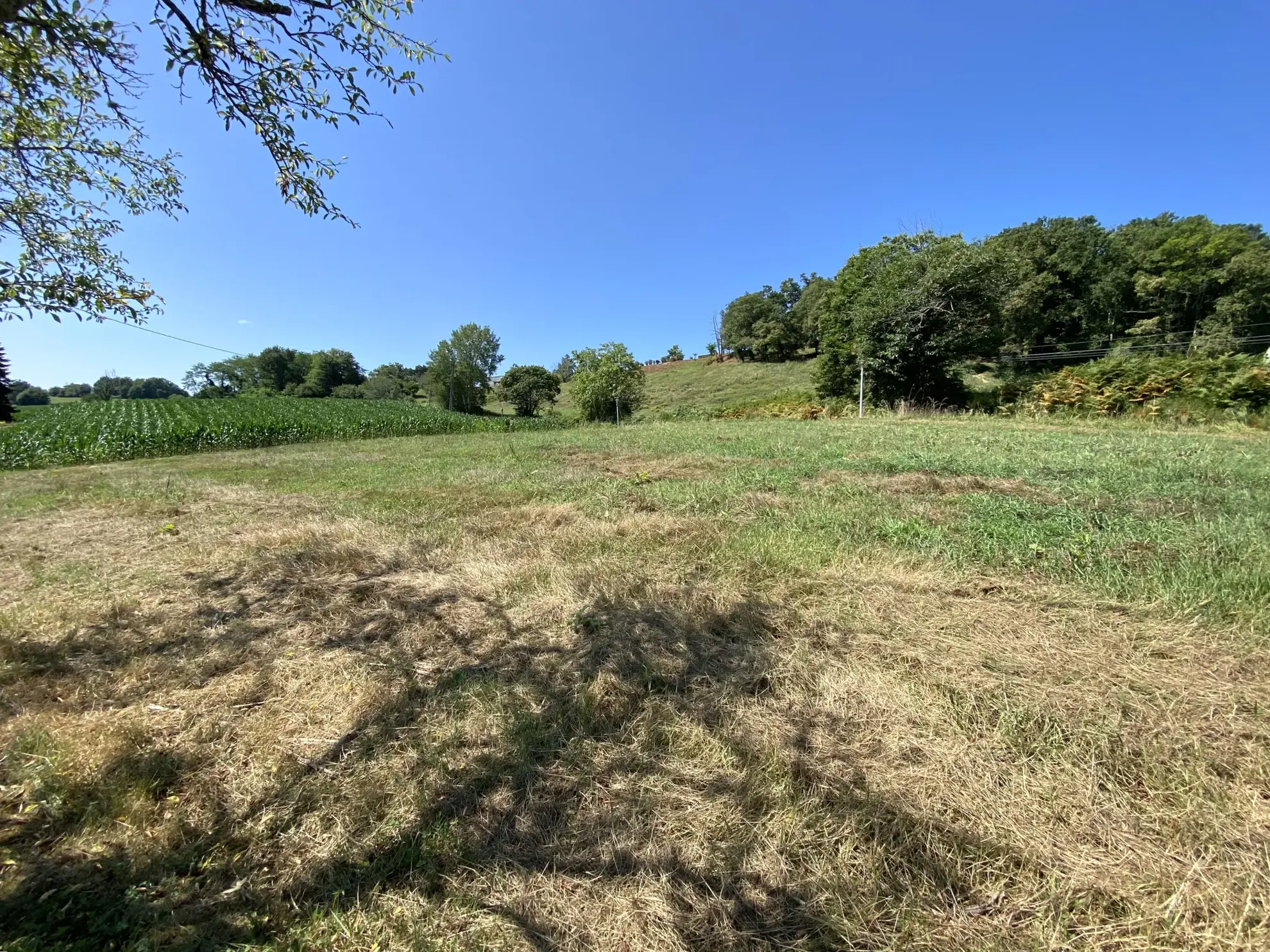 Terrain constructible de 1850 m2 à Monein, quartier Coos 