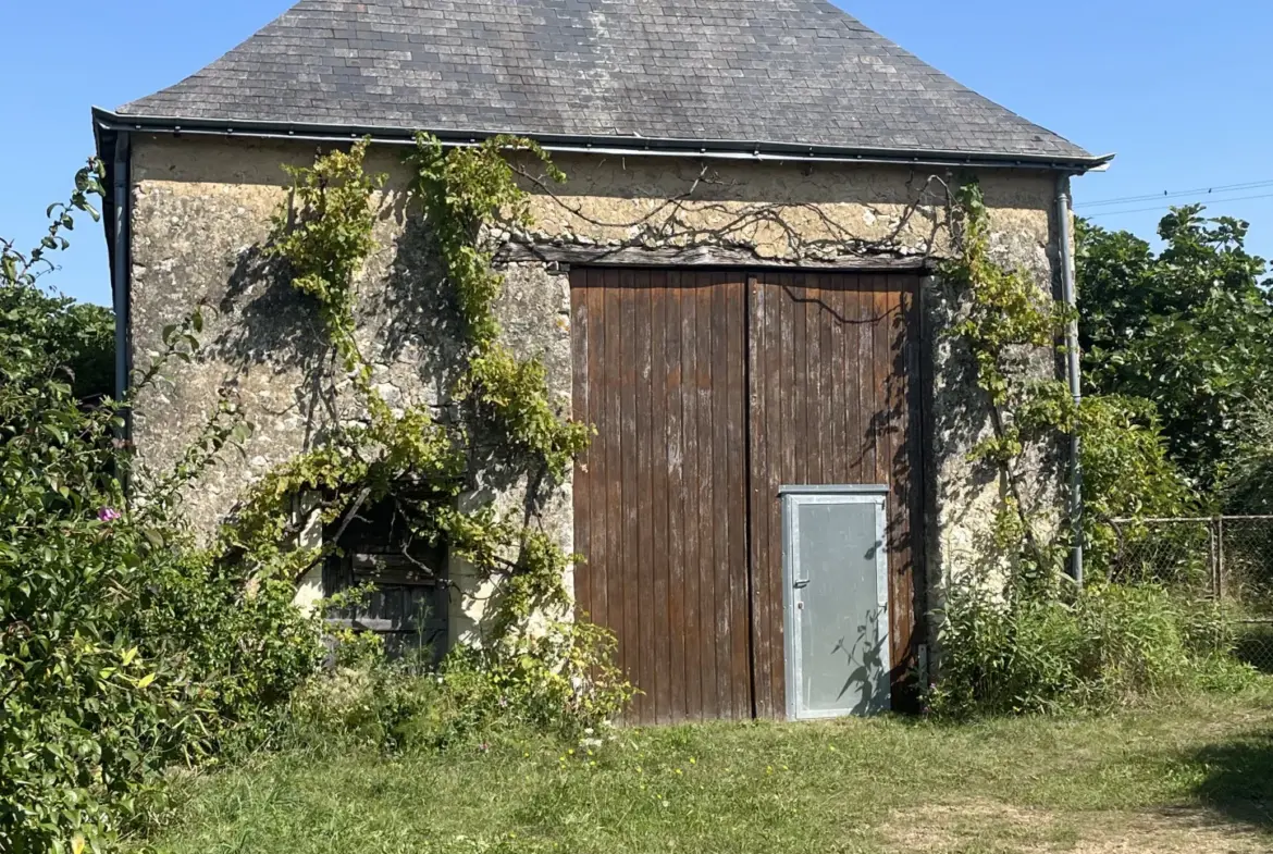 Ensemble immobilier à Noyant-Villages avec 2 maisons et grange 