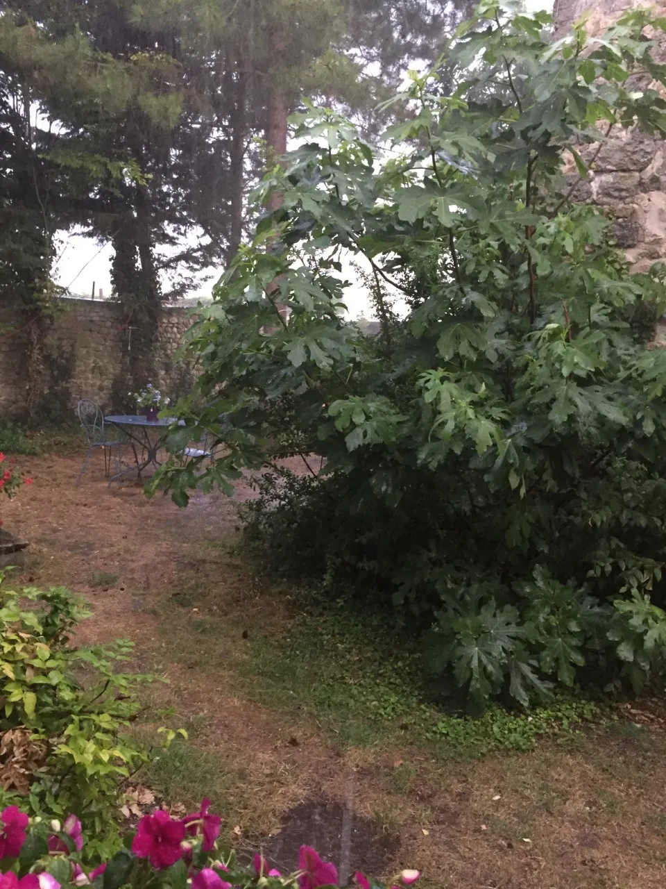 Vente maison charmante à Auneau, 20 MN de Dourdan et 10 MN d'Angerville 