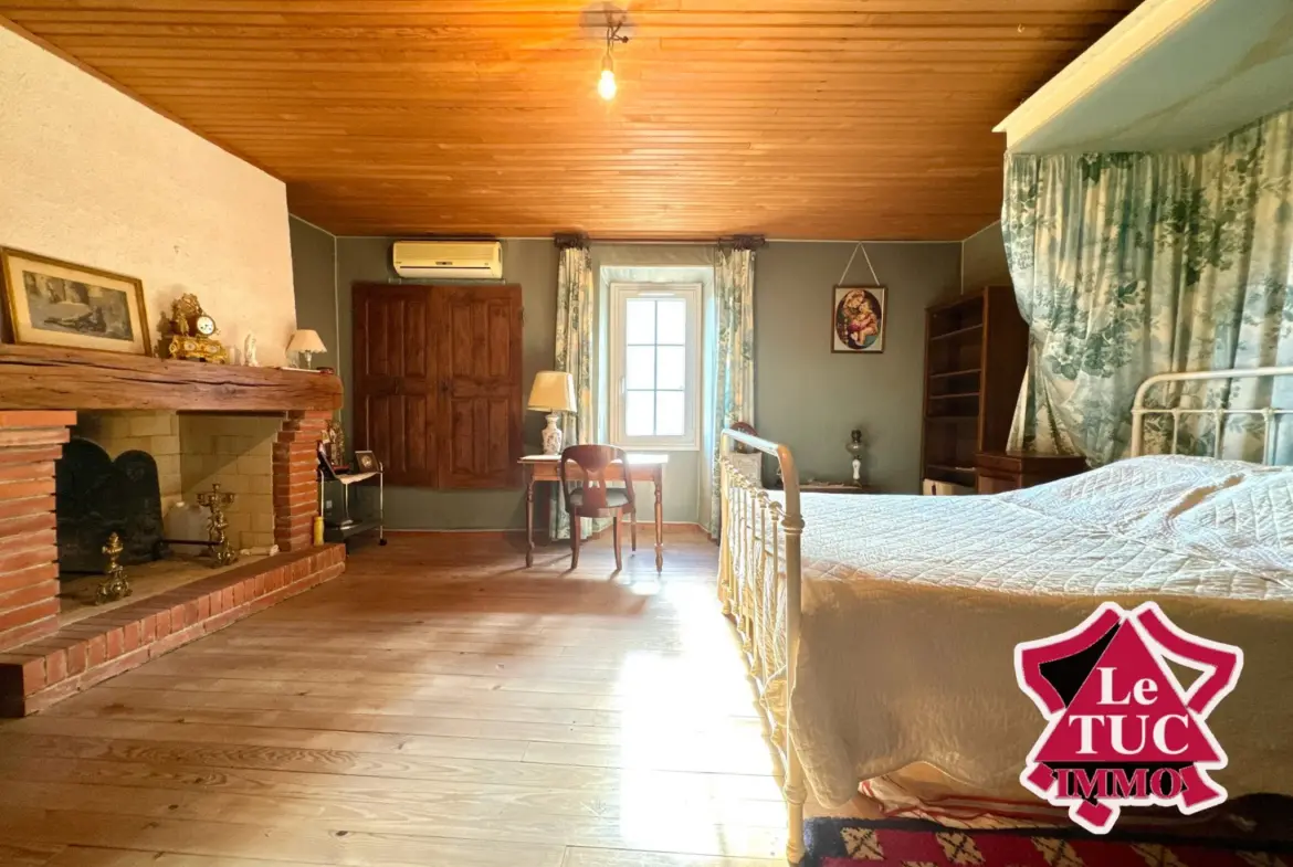 Charmante maison en pierre avec jardin à Penne d'Agenais 