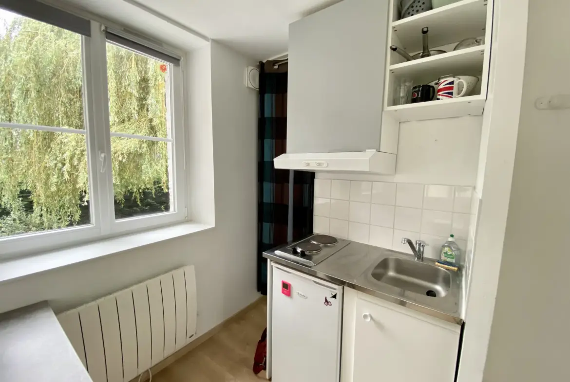 Studio lumineux de 13m2 à Lille Bois blanc 
