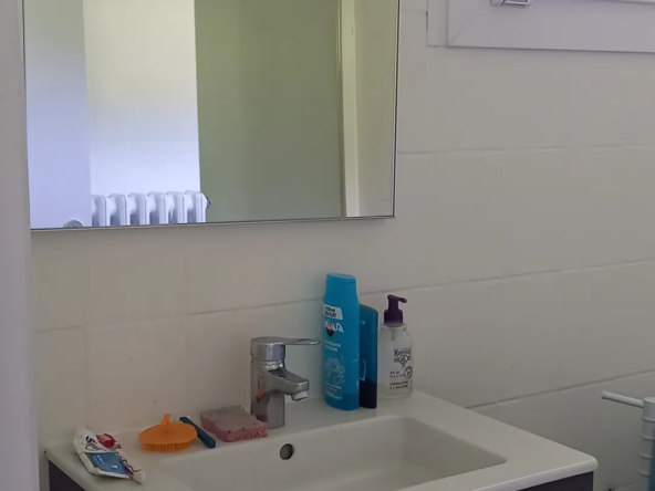 Appartement traversant de 50 m² à vendre à Lons le Saunier 