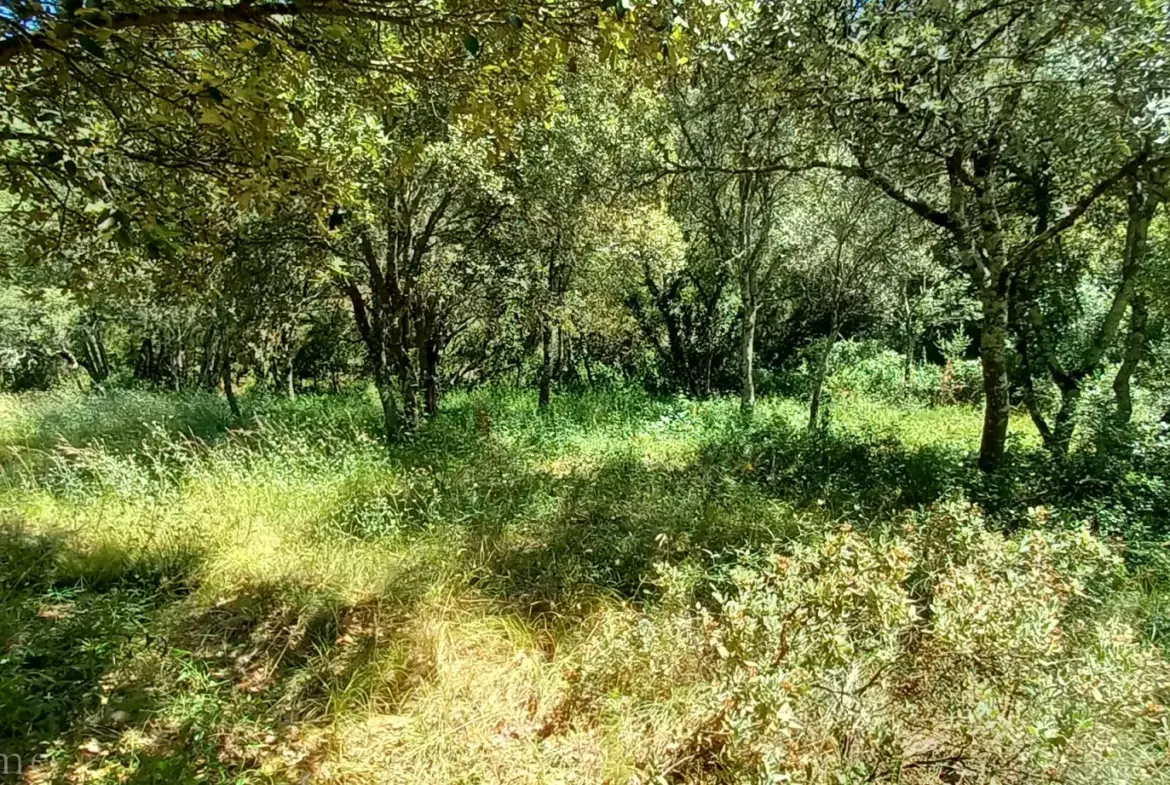 Terrain de loisirs à vendre entre Uzès et Saint Maximin 