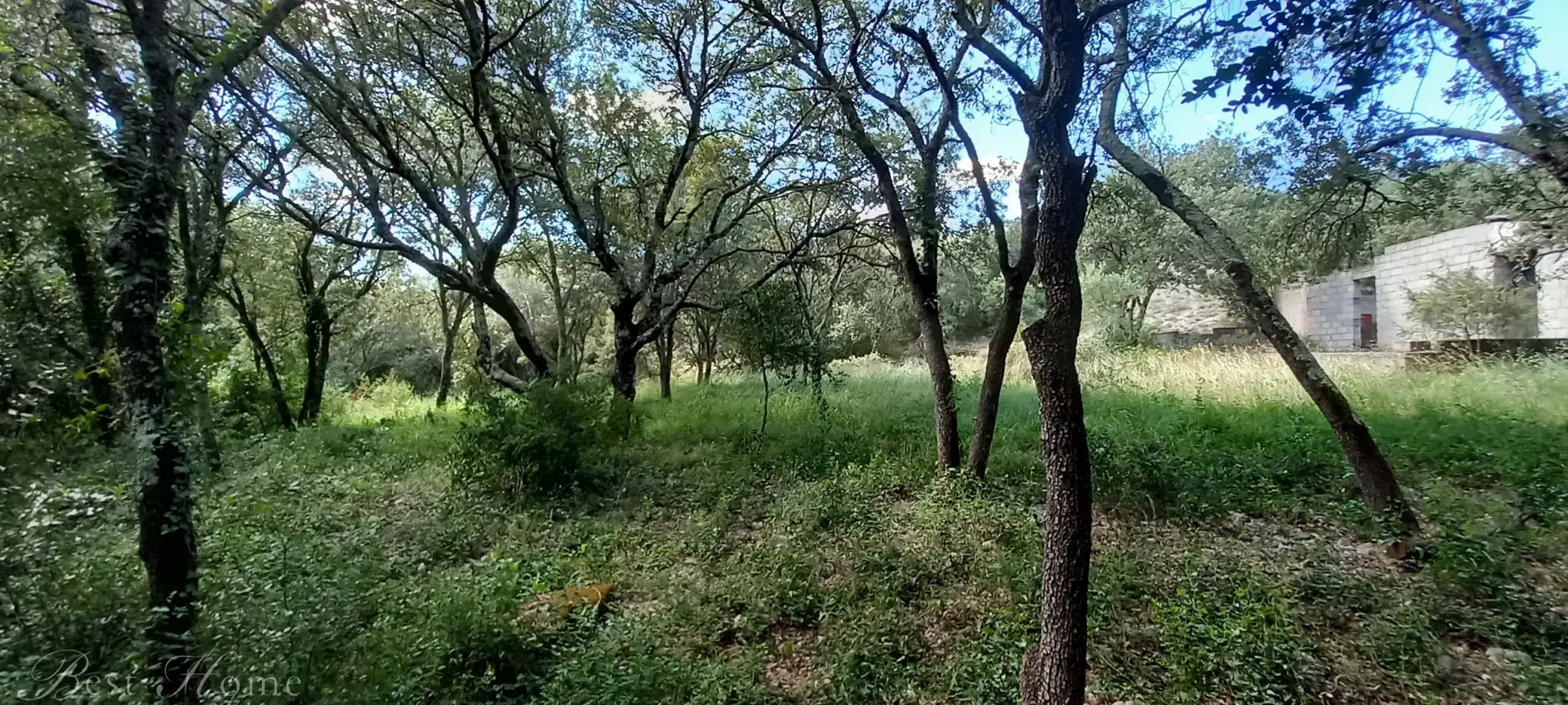 Terrain de loisirs à vendre entre Uzès et Saint Maximin 