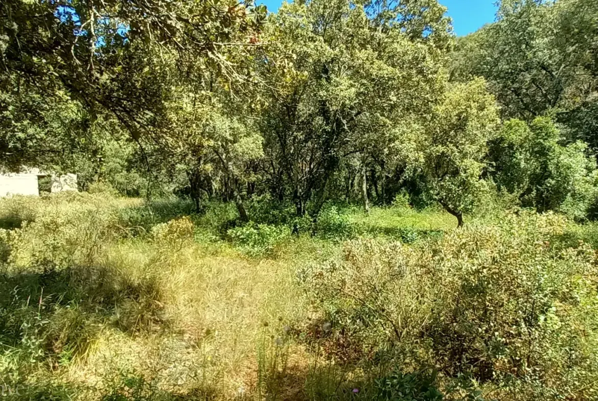Terrain de loisirs à vendre entre Uzès et Saint Maximin 