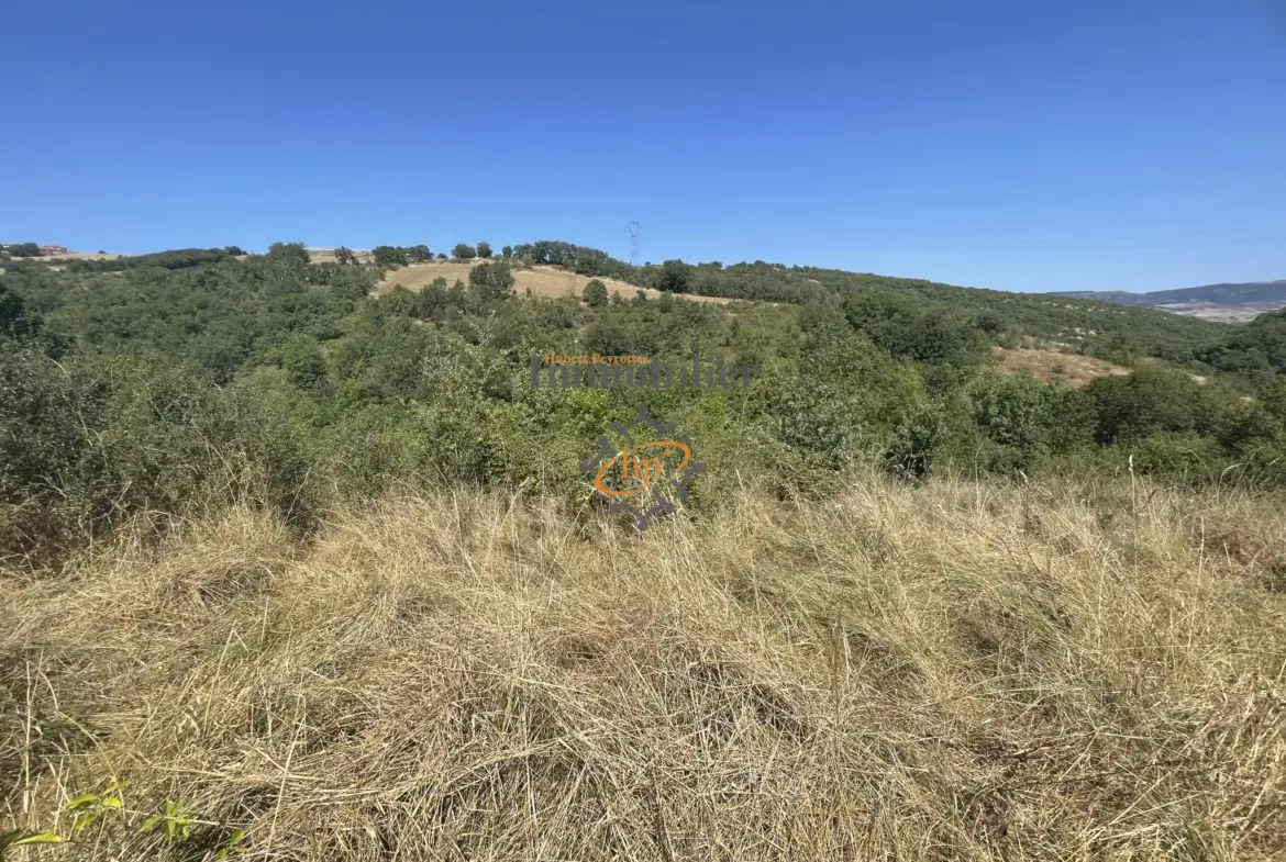 Terrain de loisir à vendre à Saint Affrique, 10 135 m² avec maison de vigne 