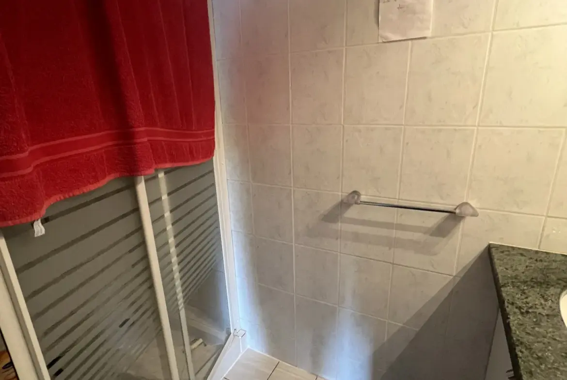 Belle longère entièrement rénovée à Fumel avec piscine 
