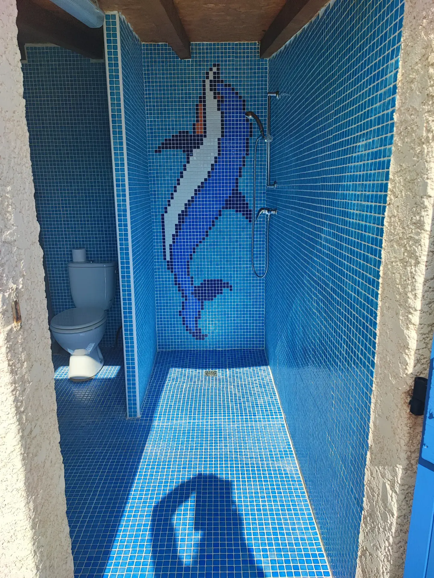 Villa avec piscine à Paraza près de Narbonne à vendre 
