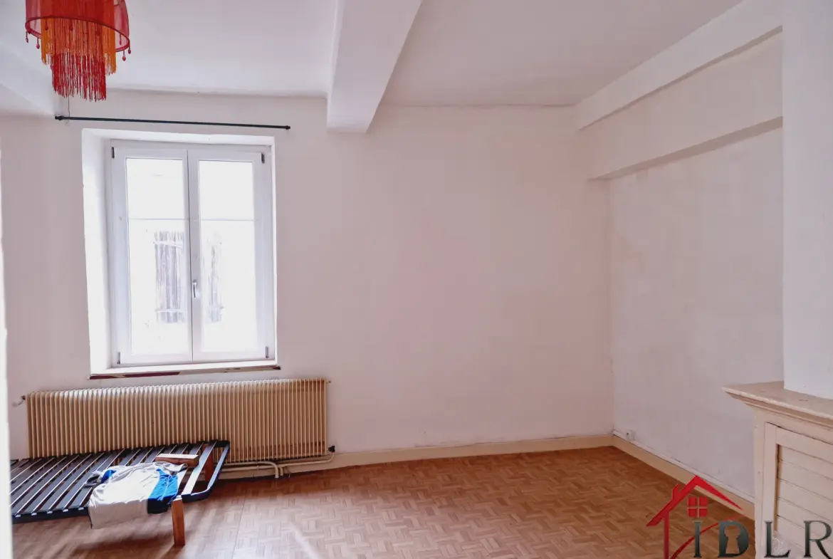Vente maison 137 m2 avec jardin à Monthureux sur Saône 