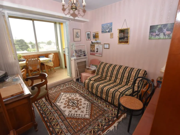 À vendre : Appartement T3 rénovable avenue Mermoz, Pau 