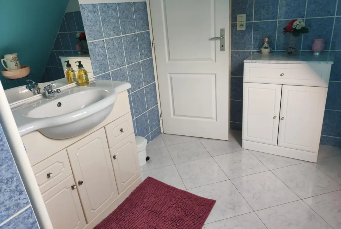 Belle maison à vendre à 15 minutes d'Auneau 