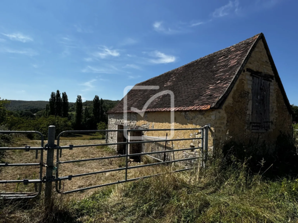 Grange en Pierres à Rénover sur Terrain de 1 Hectare à Saint Chamarand 