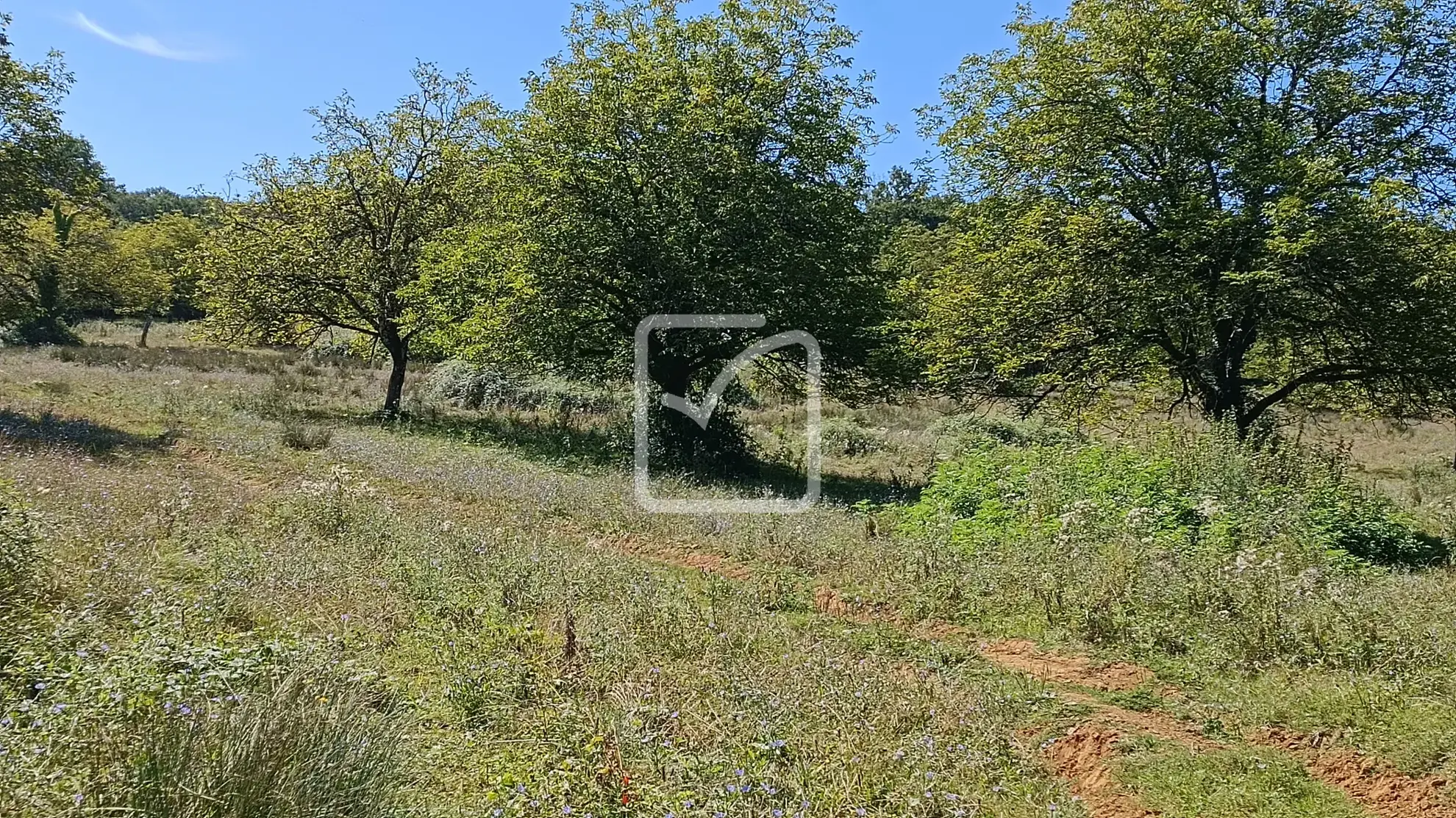 À vendre : ancienne ferme à restaurer à Cherveix-Cubas 