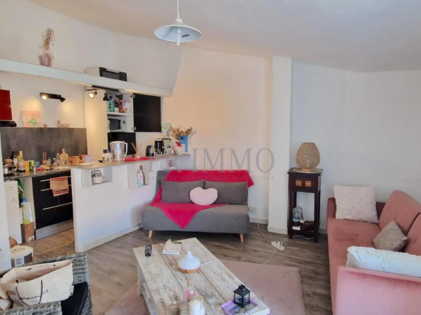 Grand Appartement T1 avec Terrasse en Vente à Fréjus 