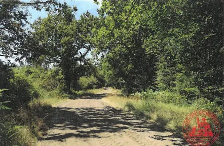 Terrain non constructible de 12 571 m² à vendre à Lesparre-Médoc