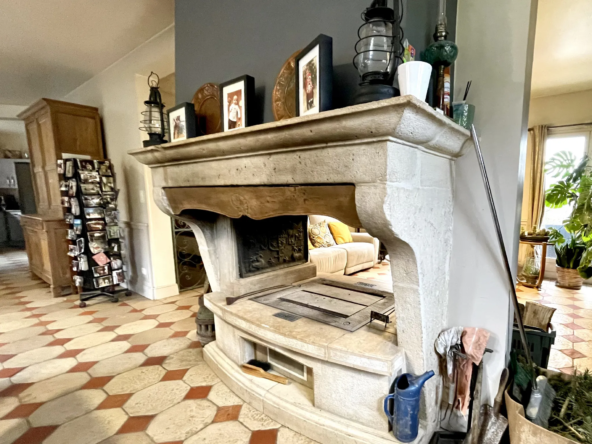 Maison de charme à Montbard avec piscine et grand terrain 