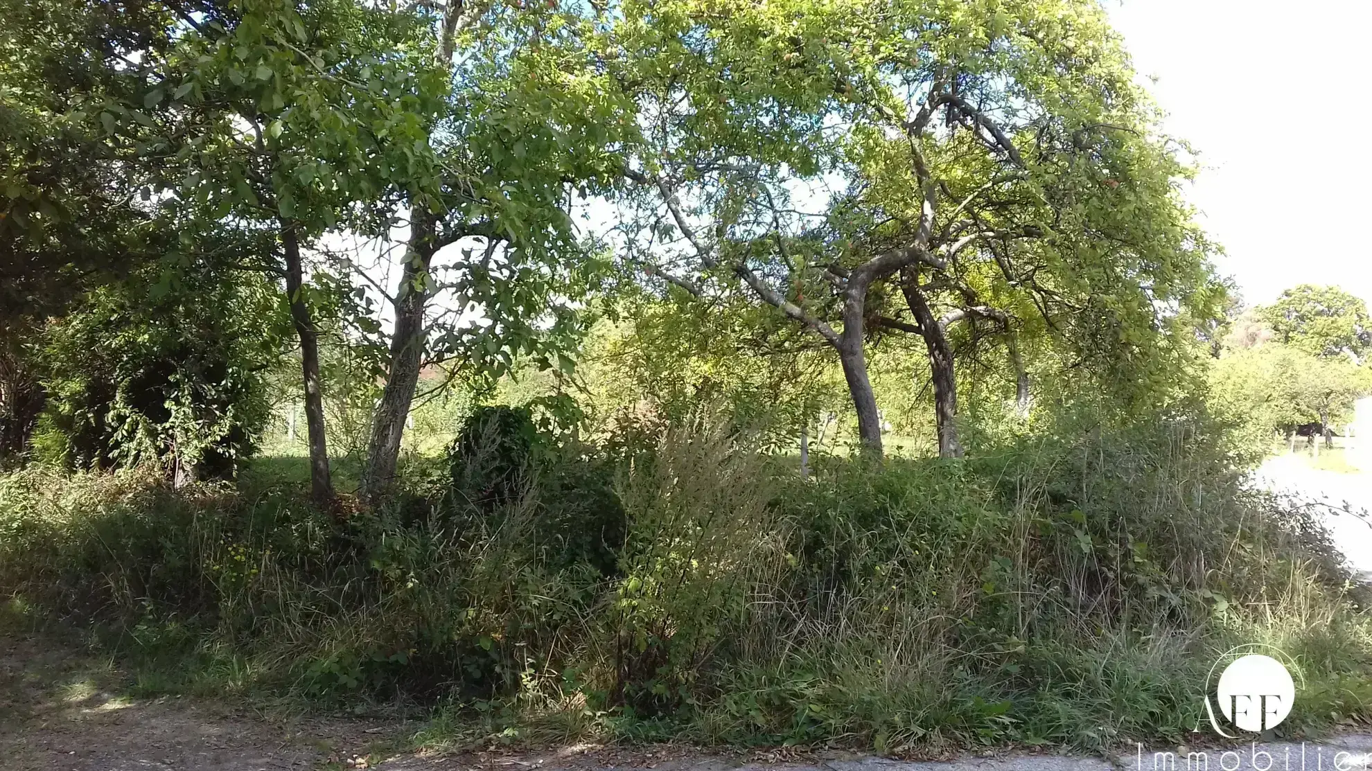 Terrain à bâtir de 869 m² à Jouy-sur-Morin, calme et commodités proches 
