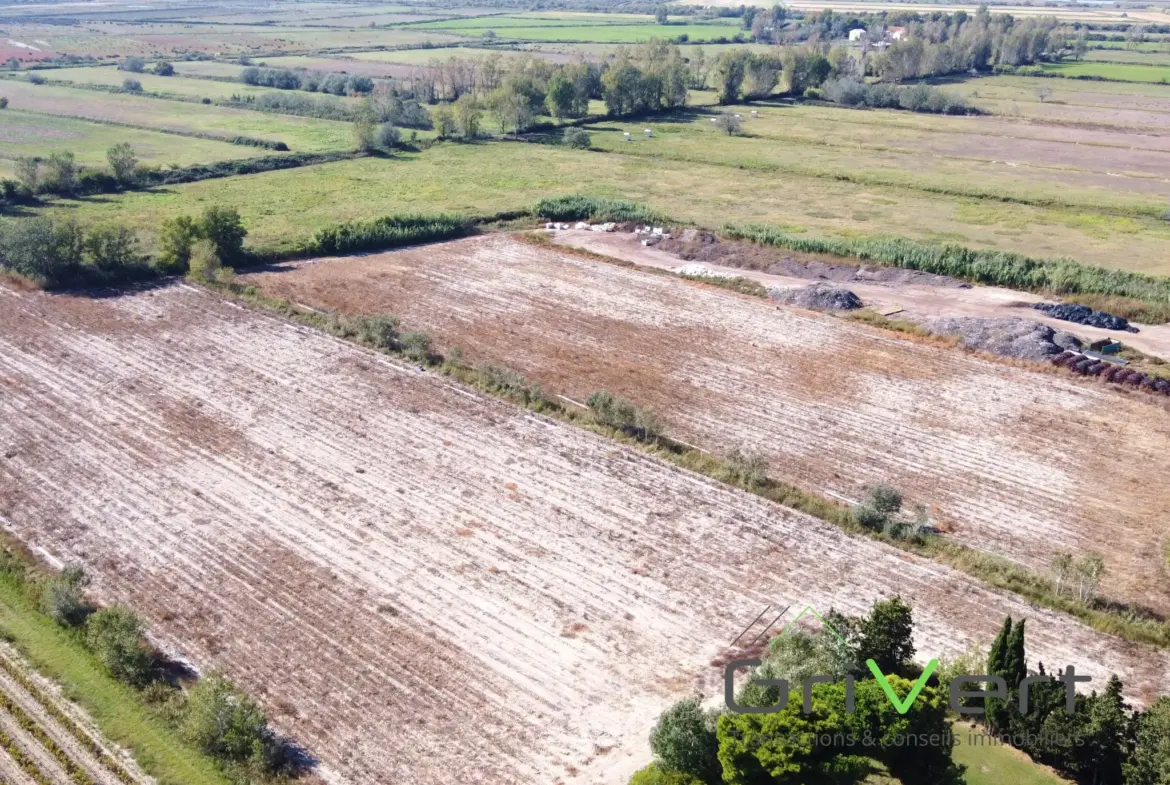 Terrain Agricole AOP de 4,68 Hectares à Saintes-Maries-de-la-Mer 
