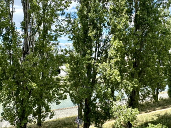 Charmant appartement 3 pièces à Pavillons-sous-Bois, 55 m² avec vue sur le canal 