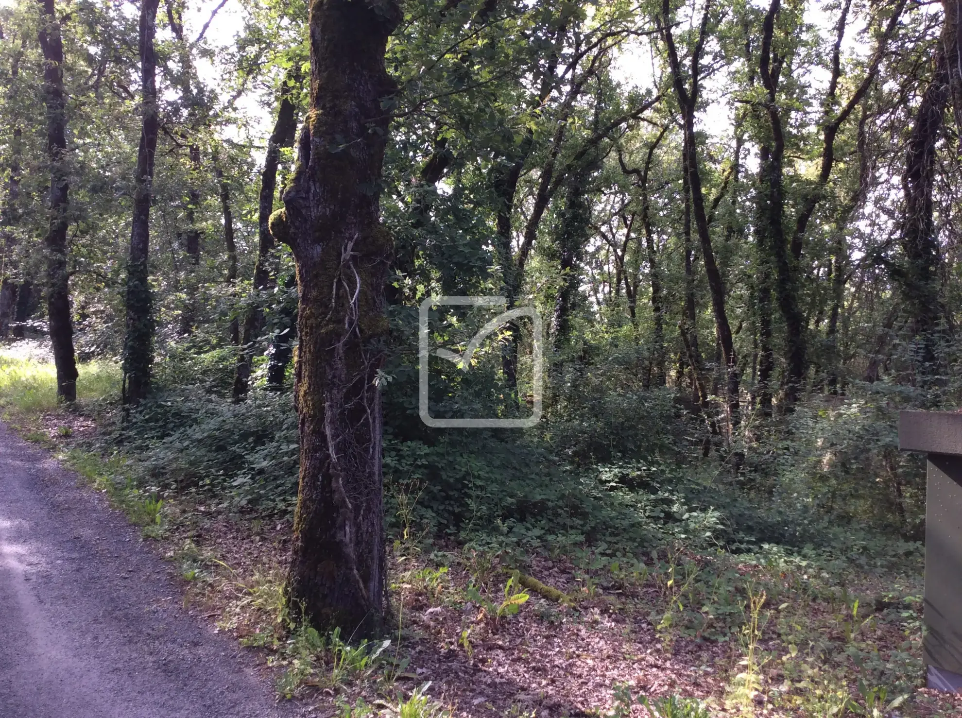 Terrain constructible de 1418 m² à vendre à Nespouls 