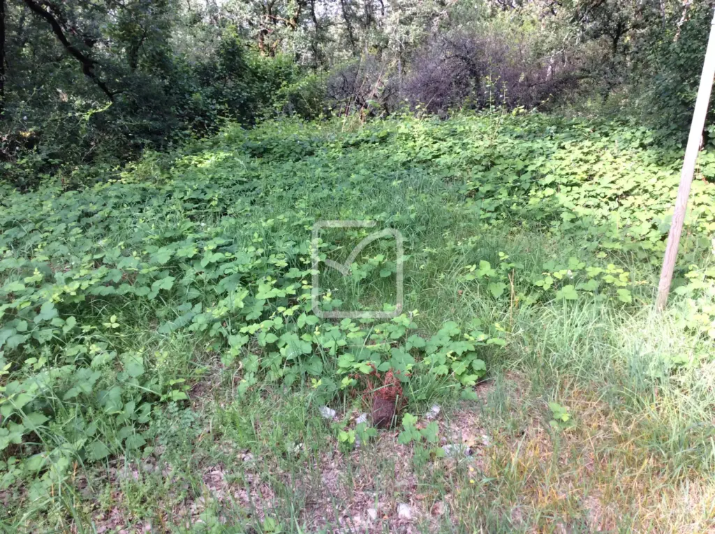 Terrain constructible de 1418 m² à vendre à Nespouls