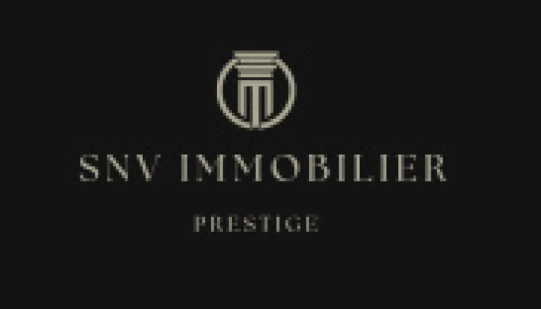 AGENT MANDATAIRE  SNVPRESTIGEIMMOBILIER_6