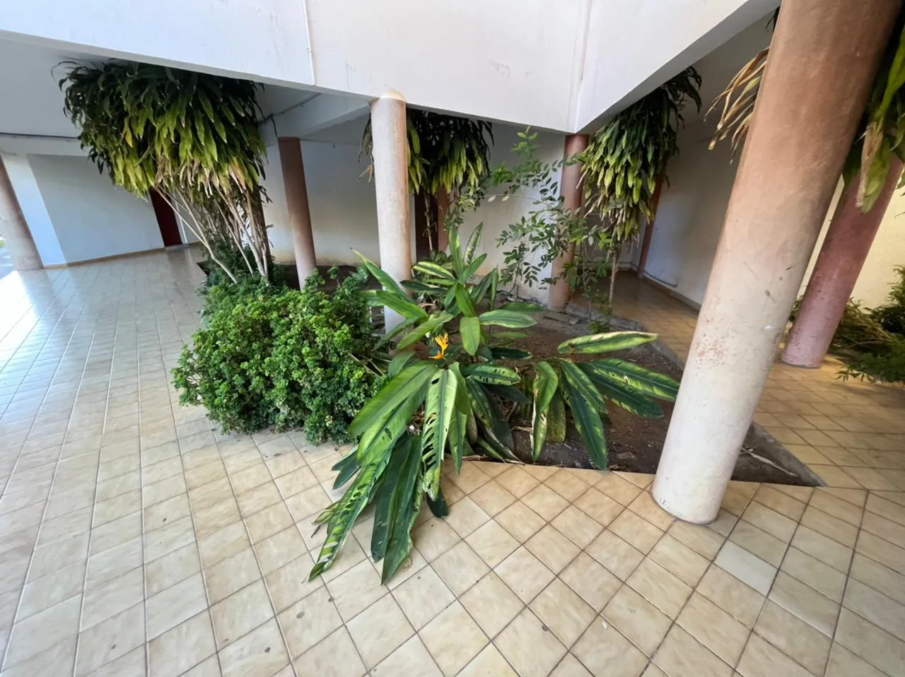 Superbe Appartement T2 avec Terrasse à Cayenne, Montabo 