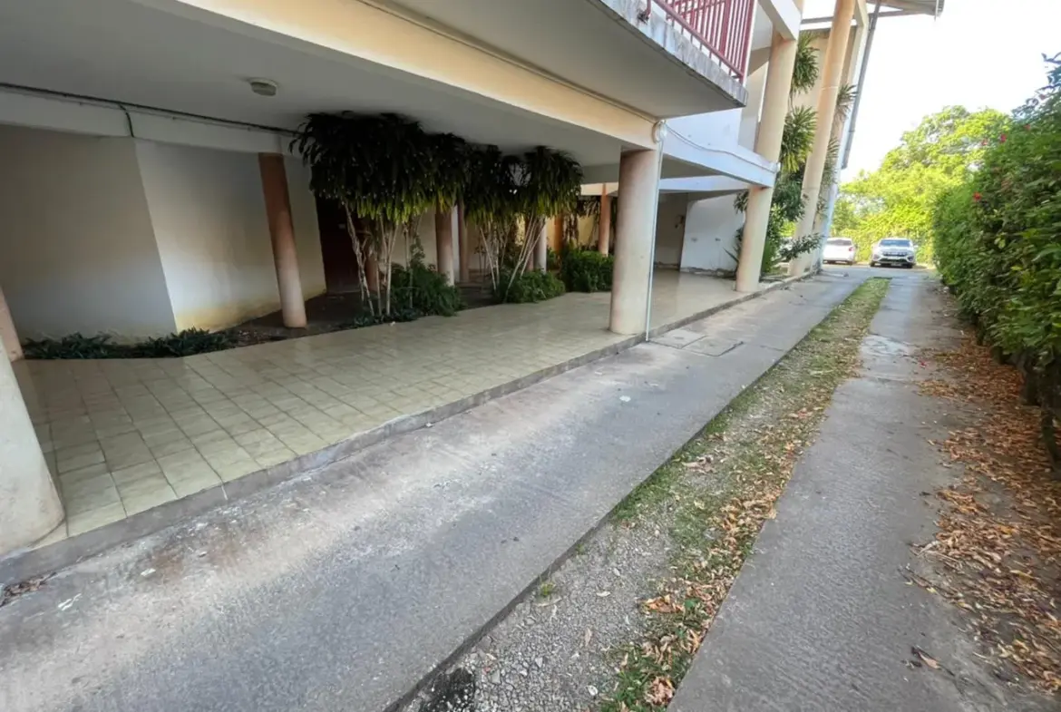 Superbe Appartement T2 avec Terrasse à Cayenne, Montabo 