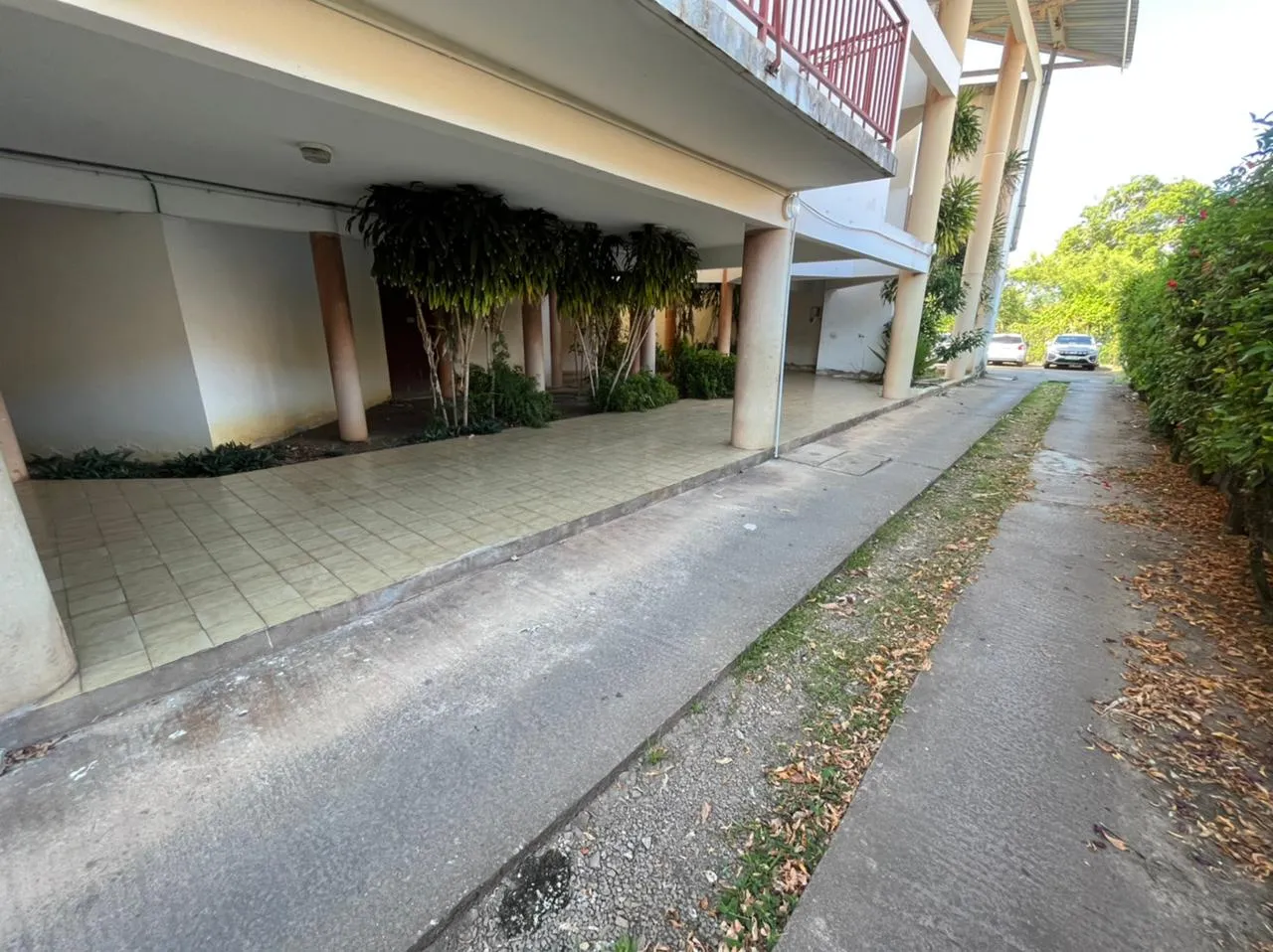 Superbe Appartement T2 avec Terrasse à Cayenne, Montabo 