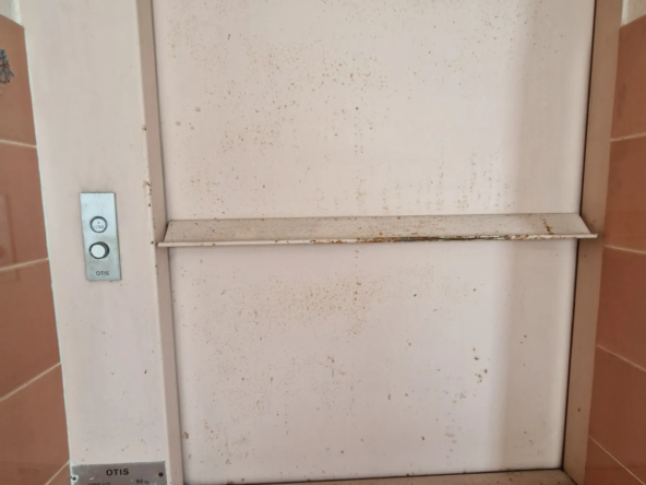 Immeuble à rénover au cœur de Bourbonne les Bains 