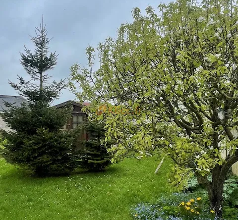 Maison familiale avec 5 chambres proche de Fécamp 
