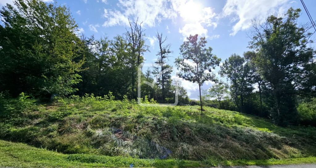 Terrain à bâtir de 1219 m² à Ussac à vendre