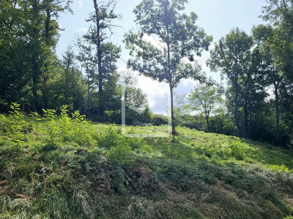 Terrain à bâtir de 1219 m² à Ussac à vendre 