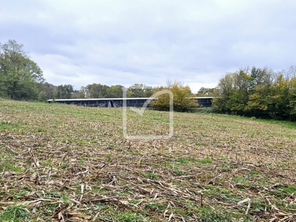 Terrain à bâtir à Ussac - 4500m2 