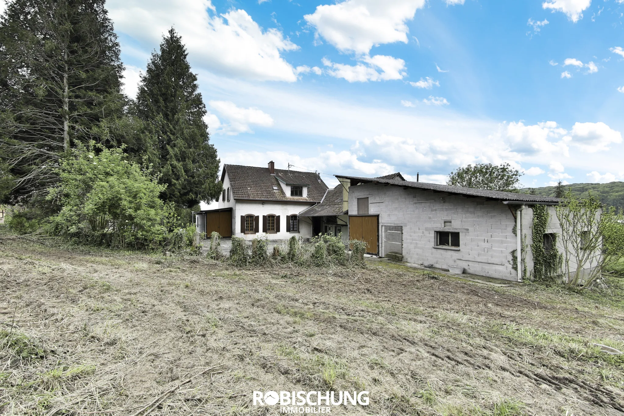 À vendre : Maison de village du 19ème siècle à Muespach 