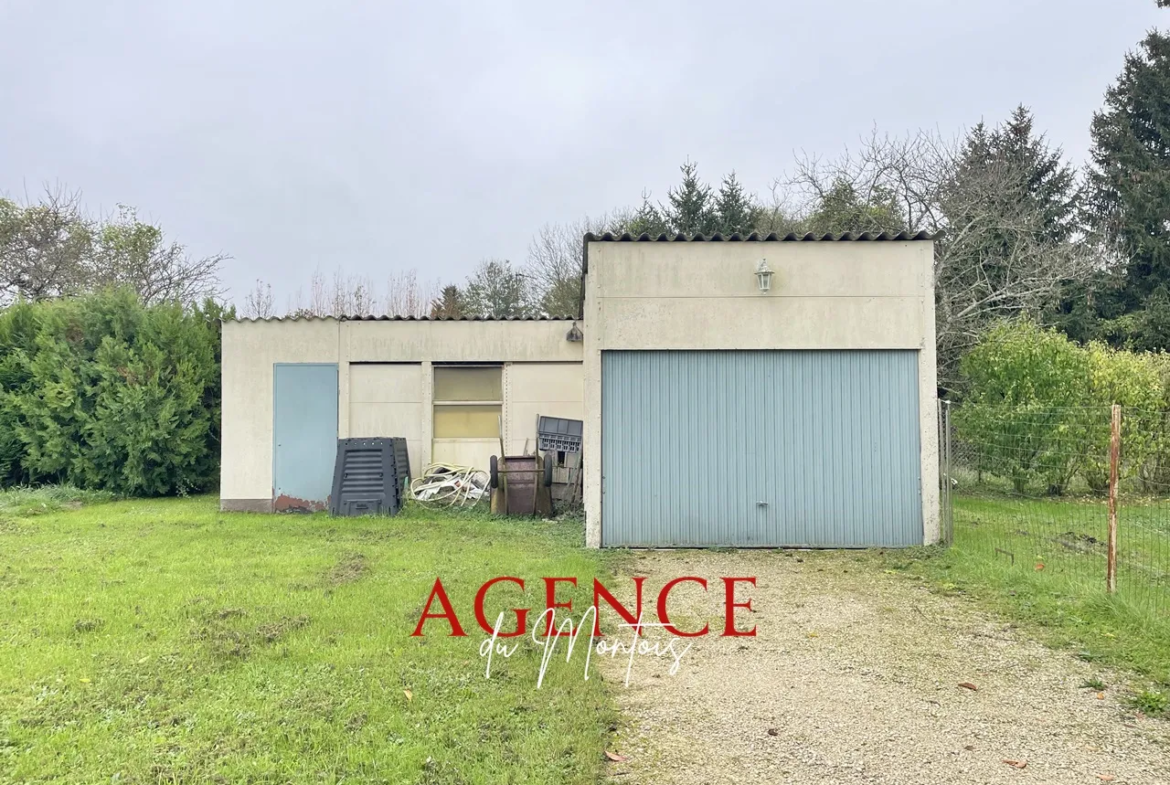 Vente Pavillon Thorigny-sur-Oreuse - 2 Chambres et Jardin 