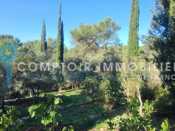 Authentique mazet à Nîmes à rénover sur 3 300 m² 