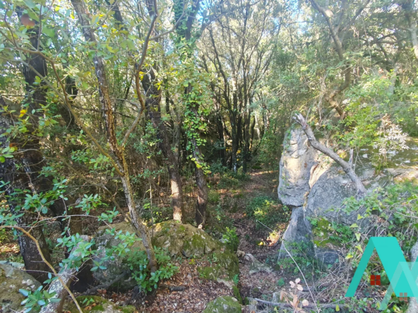 Terrain non constructible de 19 500 m2 à Signes 