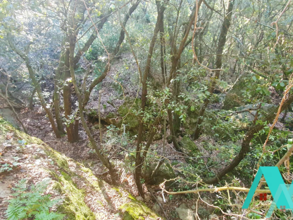 Terrain non constructible de 19 500 m2 à Signes 