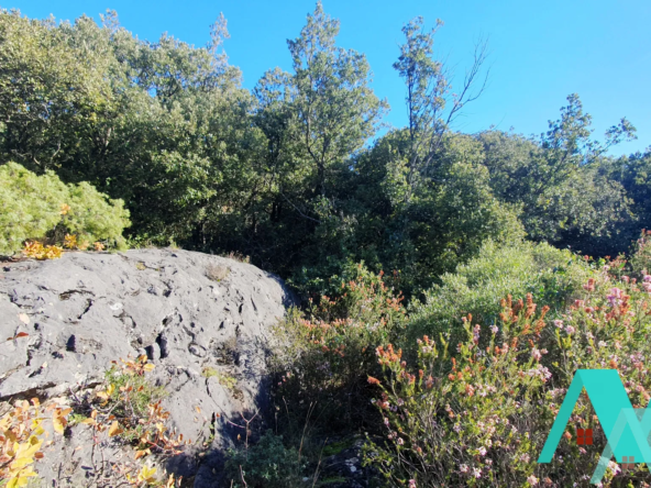 Terrain non constructible de 19 500 m2 à Signes 