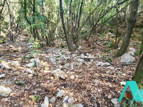Terrain non constructible de 19 500 m2 à Signes 