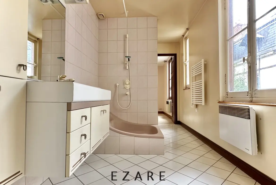 À vendre : appartement de 20,8 m² à Dijon, hypercentre, 75 000 € 