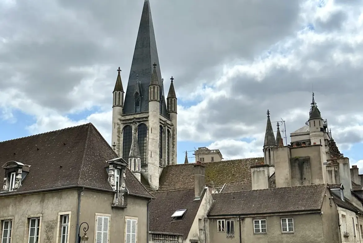 À vendre : appartement de 20,8 m² à Dijon, hypercentre, 75 000 € 