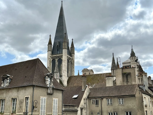 À vendre : appartement de 20,8 m² à Dijon, hypercentre, 75 000 € 