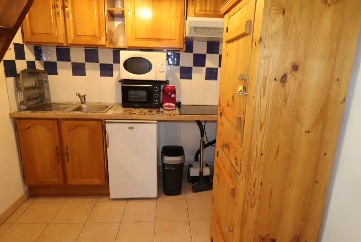 Appart N5 - Grand T2 en Duplex exposé Sud à Allos 